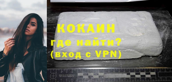 тгк Пересвет