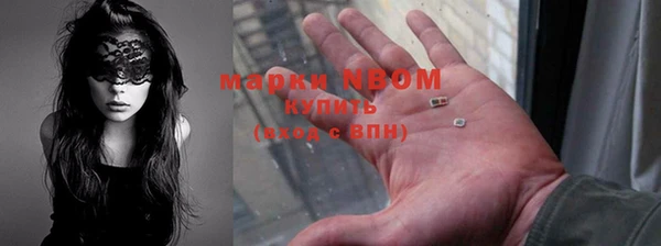 тгк Пересвет