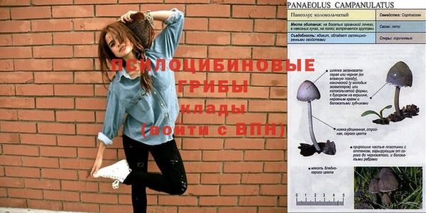 тгк Пересвет