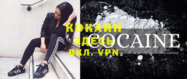 тгк Пересвет