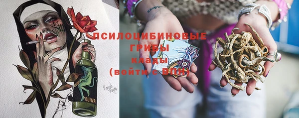 тгк Пересвет