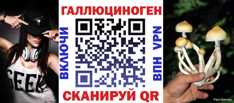 Галлюциногенные грибы Psilocybe  blacksprut как зайти  Слободской 